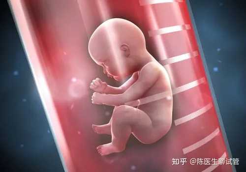 北京有人愿意助孕吗现在,北京湘雅附一试管婴儿案例分享，附2023助孕成功率预