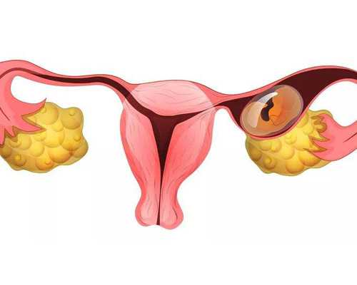 北京有能做试管婴儿的私立医院吗-北京最好试管私立医院排名！