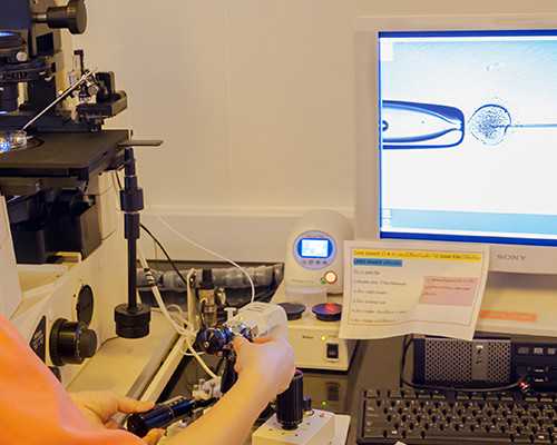 试管知识:黄体功能不全的遗传因素探究