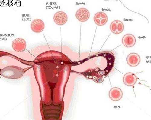 小宝宝湿疹治疗方法有哪些？专家教你如何有效缓解湿疹症状