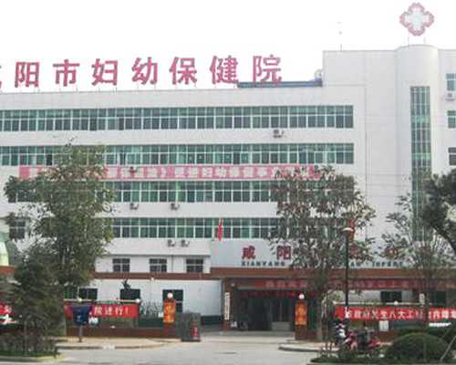 北京供卵在哪里,北京试管婴儿成功率排名