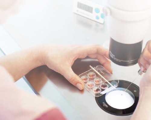 北京三代试管代怀男孩|2024北京供卵试管婴儿医院排名，附北京供卵试管生男孩