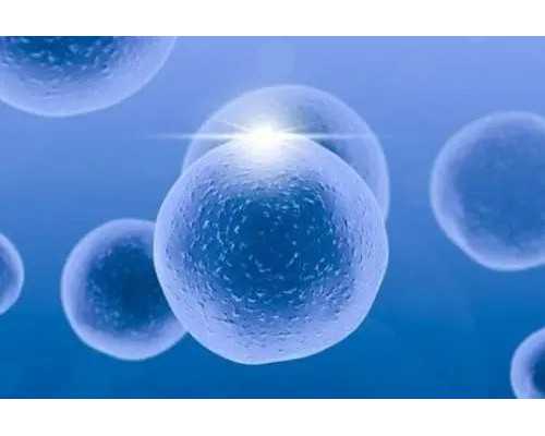 北京试管代孕医院名单,北京看妇科病医院电话