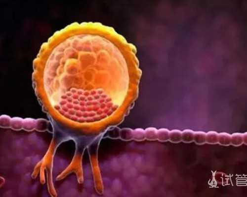 试管知识:黄体支持期间能否运动？专家建议