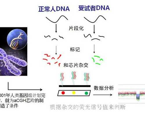 北京四代试管的成功案例剖析：见证前沿技术的力量