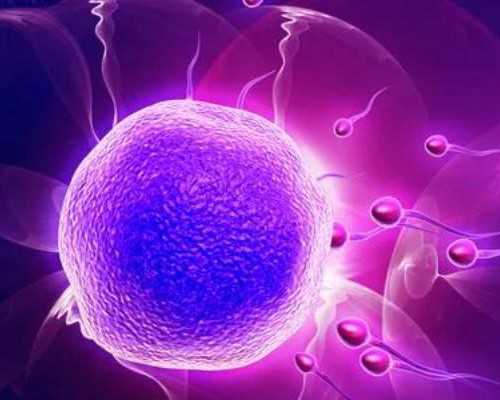 郑州三大助孕公司是哪些？附详细助孕流程!