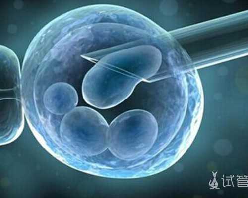 北京供卵公司咨询,北京家圆做试管多少钱
