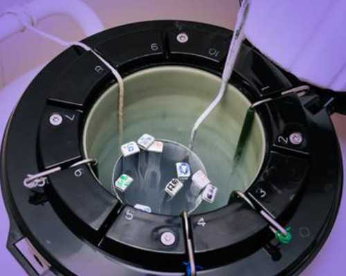 试管技术会导致胎儿畸形吗？