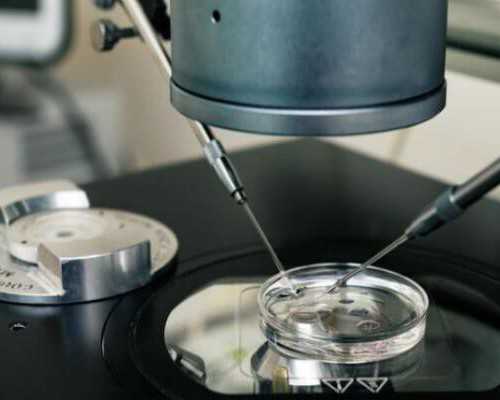 试管宝宝畸形与遗传因素