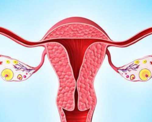 试管技术会导致胎儿畸形吗？