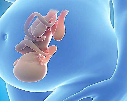 湖北地区有多家助孕公司？附机构最新排名