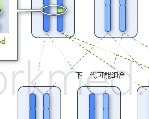 青岛哪家供卵试管机构好些