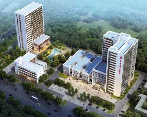 精子数量与胚胎发育