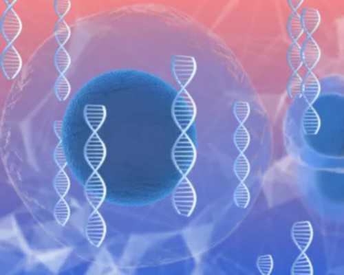 北京供卵试管婴儿代生|北京试管供卵生子包男孩多少钱？附北京供卵试管医院