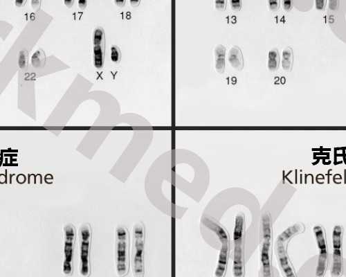 北京最大供卵中心,北京试管费用涨价了吗？