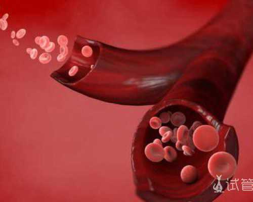 试管精子质量评估