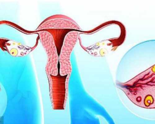 北京四代试管的法律监管现状：保障新技术健康发展