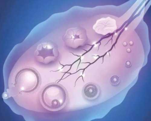 北京四代试管的未来发展方向：引领生殖医学新潮流