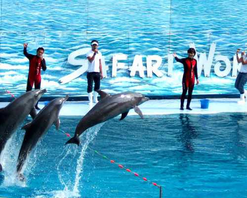 黄体不足导致的试管失败如何避免？