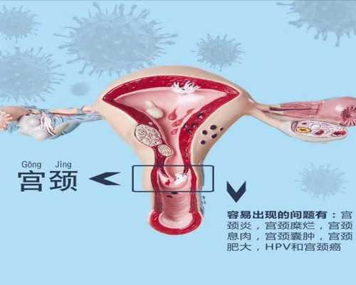 北京供卵生子公司,北京卵泡监测,北京监测卵泡该去哪里