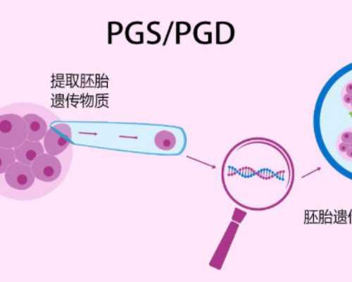 北京代怀网站大全,北京试管婴儿十大