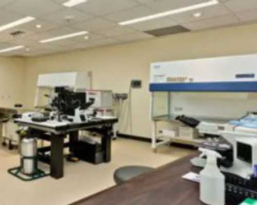 黄体功能不全的试管应对策略