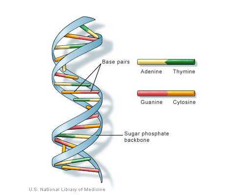 试管妈妈必知的黄体酮使用指南