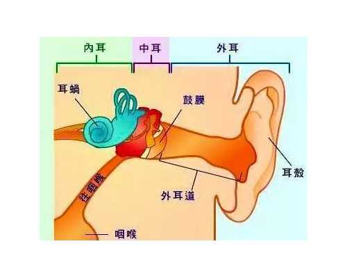 北京助孕高端机构|北京朝阳医院做试管找哪个医生好？北京朝阳医院试管医生