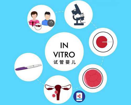 解读最新试管婴儿政策：对家庭的影响与意义