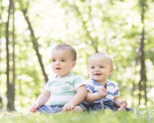 北京供卵生殖医院|北京301解放军总医院生殖中心做试管谁厉害？