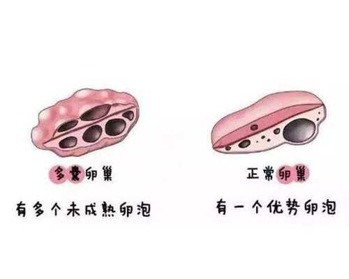 北京代怀生子公司|北京助孕公司试管生男孩排名？