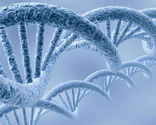 试管胚胎筛查可防畸形吗？