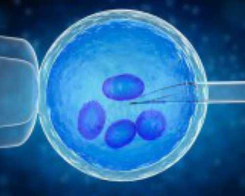 试管知识:冷冻胚胎移植的黄体支持方案对比