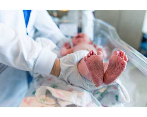 精子形态与试管成功率