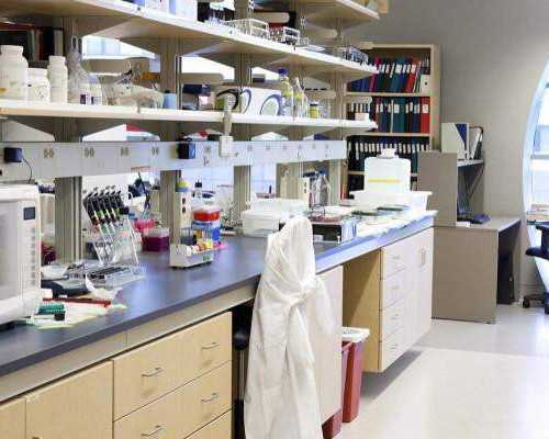 北京咨询代孕专家,北京喜得尔试管中心