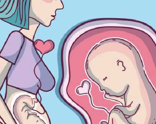 试管知识:黄体功能与子宫血流关系的解析