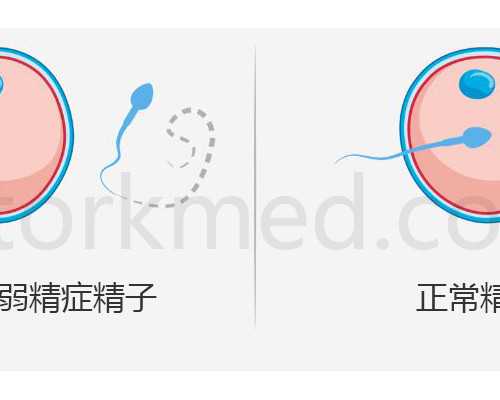 北京代生双胞胎价格|北京供卵三代试管婴儿成功率排名，2024
年已更新|北京三