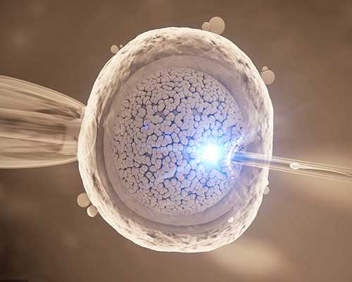 北京代孕网费用明细,染色体平衡易位在北京做三代试管多少钱，北京做三代试