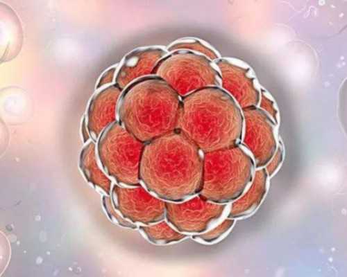 试管知识:黄体功能与胚胎发育同步性研究