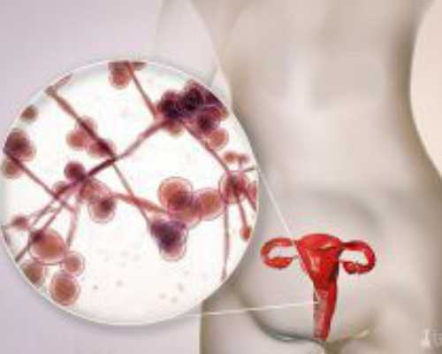 北京代生的过程,【焦点】北京供卵试管公司