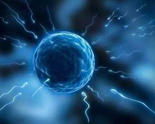 北京专业的代孕包成功,【节目预告】2024北京高着儿直播咨询—中国社会科学大