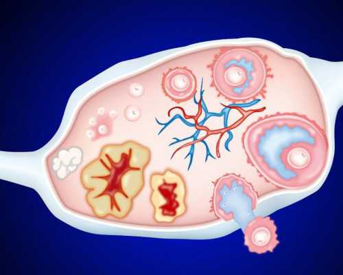 北京哪有供卵中心,北京大学第三医院可以做捐卵试管吗？北京大学第三医院试