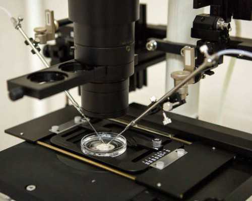 试管知识:黄体支持药物选择：针剂还是口服？