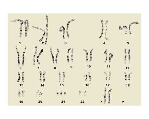 试管知识:反复移植失败与黄体功能的关系分析
