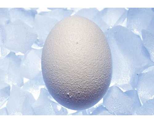 北京同性供卵代生孩子|北京助孕公司-北京三代试管医院