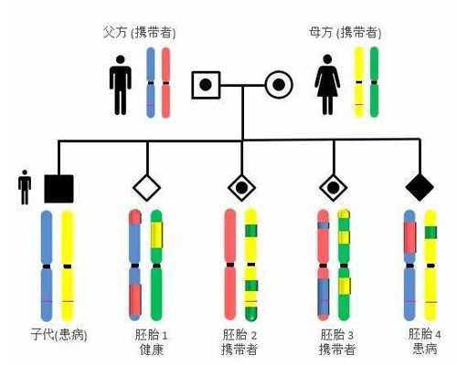 北京哪里代怀孩子,北京做供卵试管医院排名？