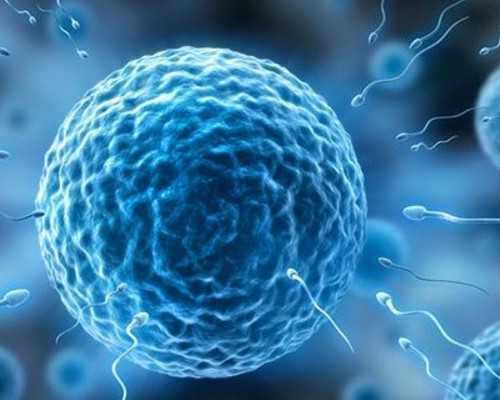 试管妊娠期防畸指南