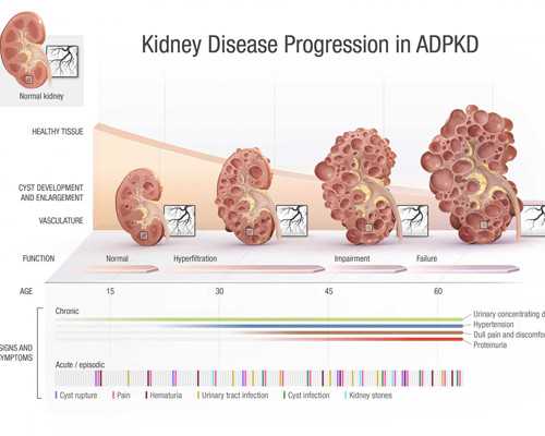 武汉三代试管供卵生宝宝多少钱
