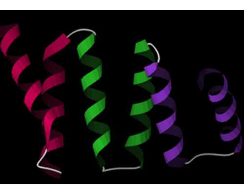 试管胚胎质量影响胎儿发育吗?