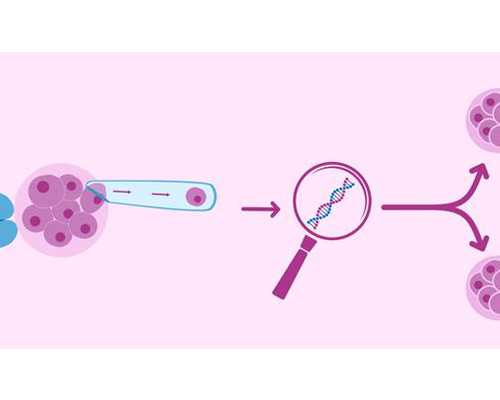 关注试管婴儿家庭的心理健康：给予他们更多的关爱与支持